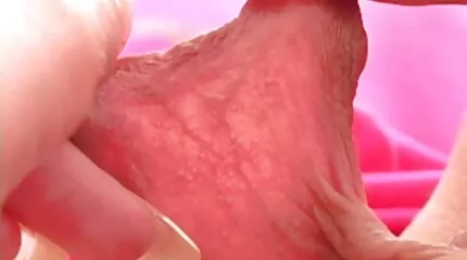 عشيقة الآسيوية في الجلد سكس عربي عراقية سوف تربط صديقتها وبرشاقة.